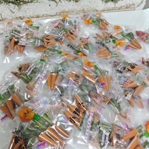 仓鼠胡萝卜磨牙饼干造景用品可吃草饼玩具金丝熊兔子小零食