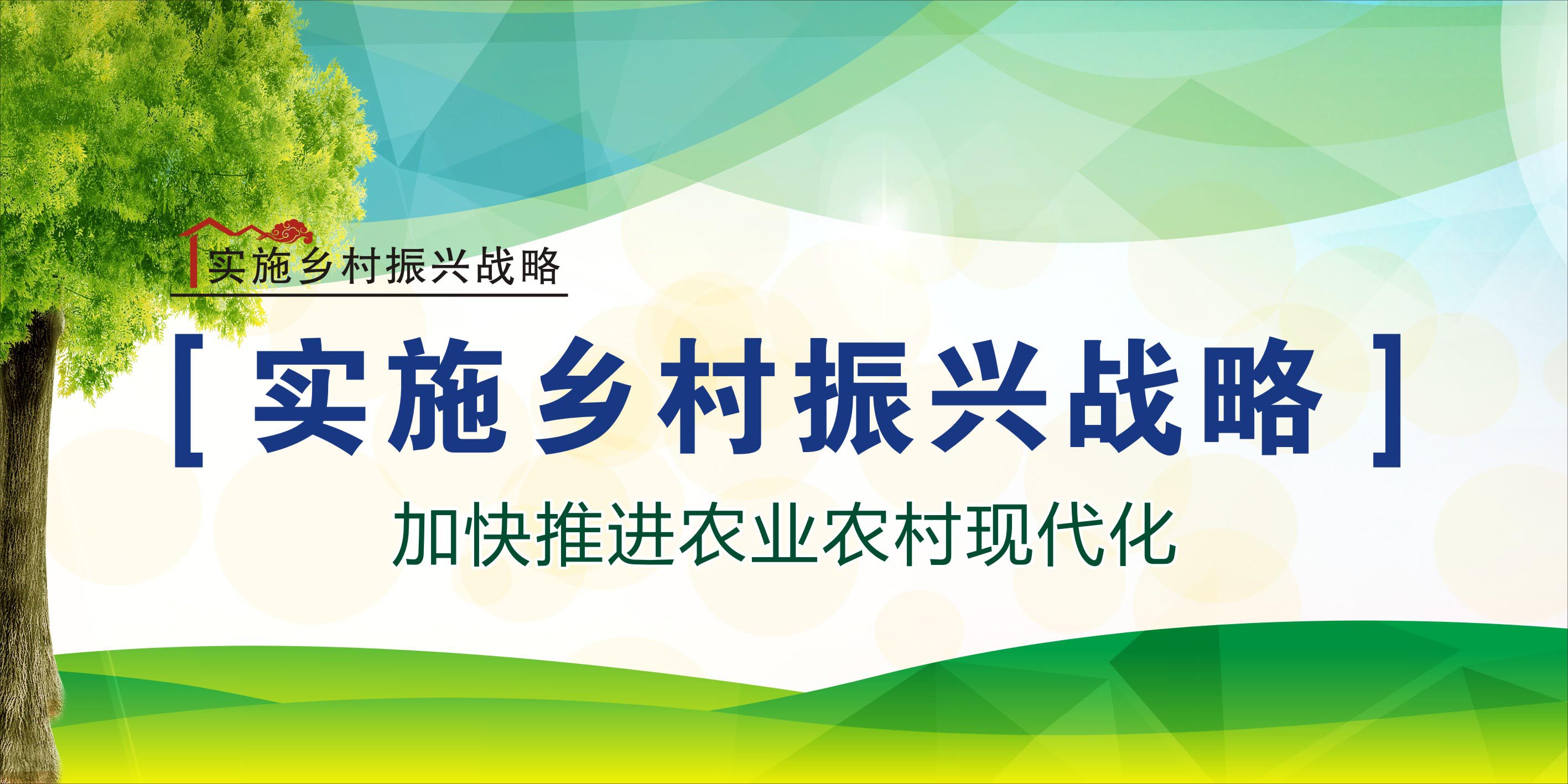 767海报印制展板喷绘墙贴78实施乡村振兴战略宣传推进现代化12-1