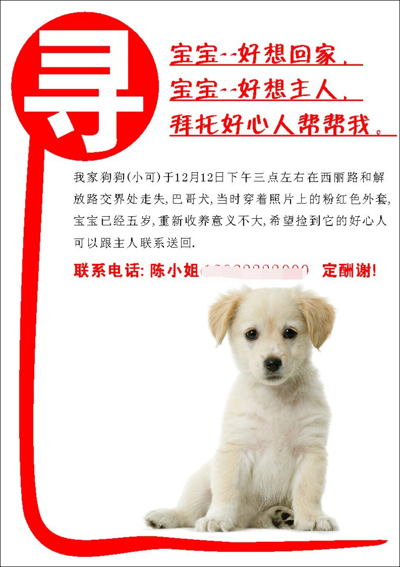 210摆件海报展板喷绘贴纸素材2658寻狗启示