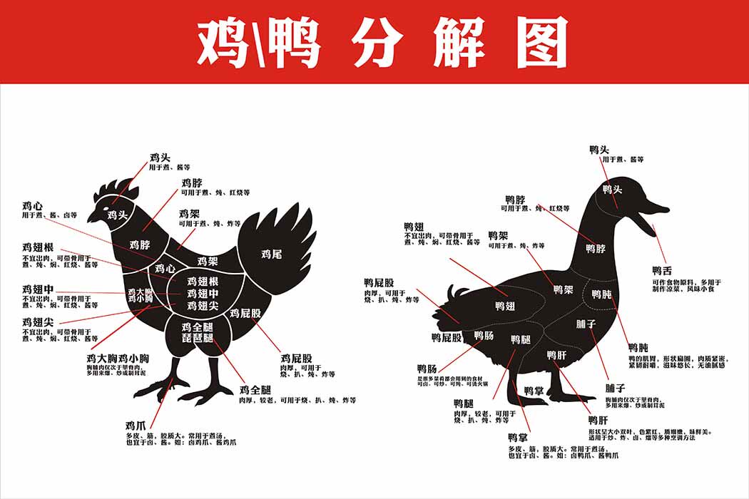 770生鲜店鸡鸭猪分解图展板写真墙贴纸挂图喷绘海报印制2213