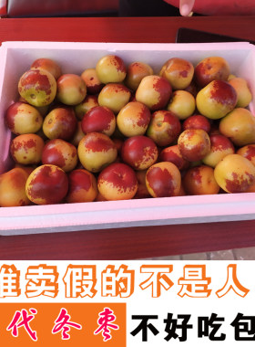 二代短枝冬枣山东沾化特产新鲜水果脆甜多汁糖度30嘎嘣脆大枣整箱