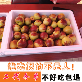 二代短枝冬枣山东沾化特产新鲜水果脆甜多汁糖度30嘎嘣脆大枣整箱