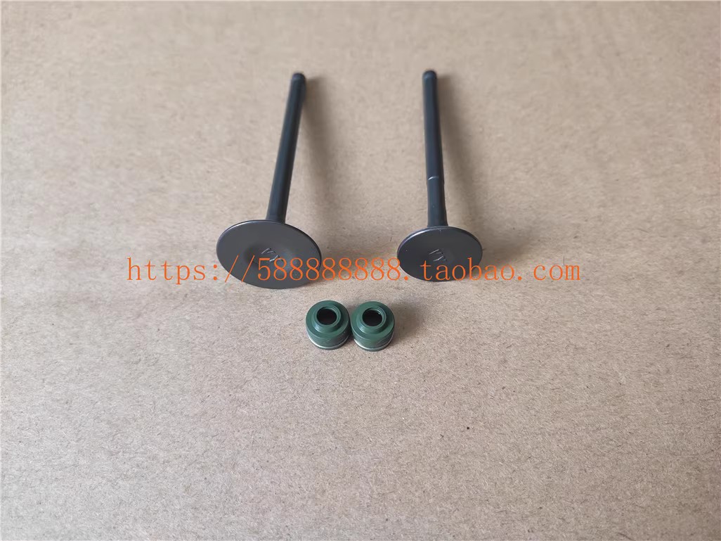 新大洲本田110L110Q气门