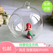 苔藓微景观生态瓶子挂架植物玻璃瓶diy材料生态鱼缸微景观吊瓶