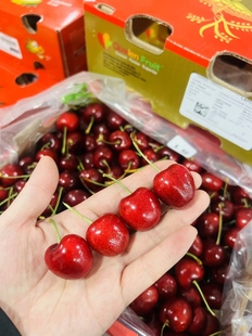 沈阳发货智利车厘子拉宾斯5斤装口感脆甜果硬实J2J3J辽宁包邮