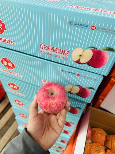 沈阳发货佳农陕西高原超甜富士苹果新鲜应季水果甜脆辽宁包邮