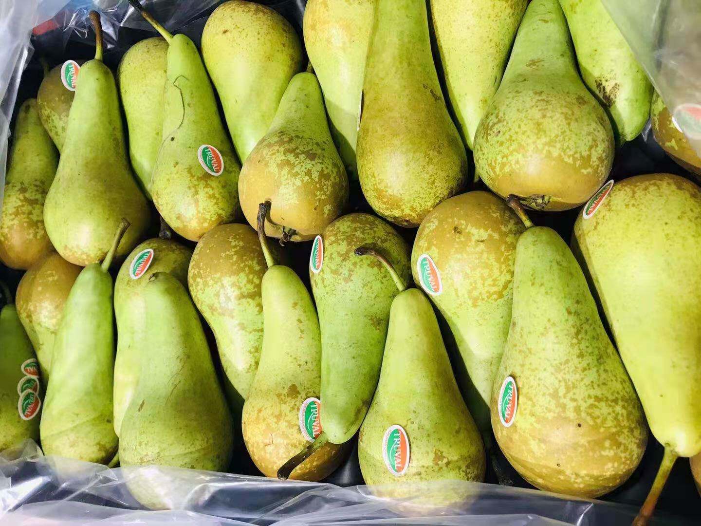 沈阳发货都乐啤梨dole无核皮梨9-24粒大果礼盒装辽宁省包邮