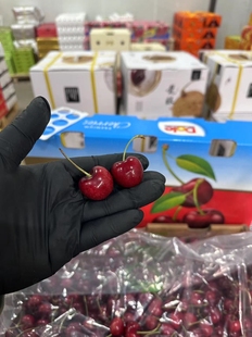 包邮 J辽宁 水果礼盒10斤装 沈阳发货Dole都乐车厘子新鲜甜脆应季