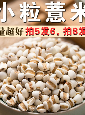 白薏米250g小粒薏仁米红豆薏米粥原料五谷杂粮赤豆意米水薏苡仁A