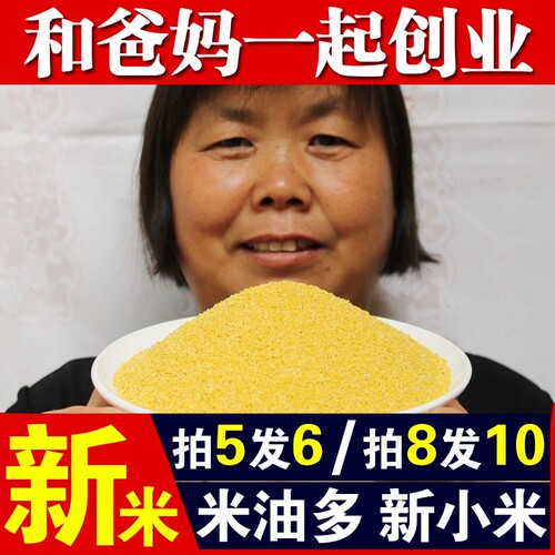 【拍5发6份】2025年新小黄米250g吃的小米粥五谷杂粮黄米月子米A