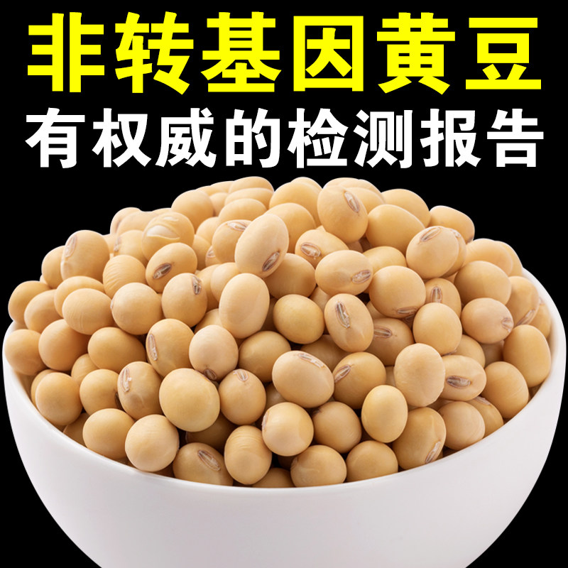 非转基因黄豆1000g黄豆农家自产黄大豆五谷杂粮豆类打豆浆专用豆