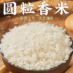 【规格齐全】圆粒香大米东北方正大米大米东北稻香米煮粥焖米饭
