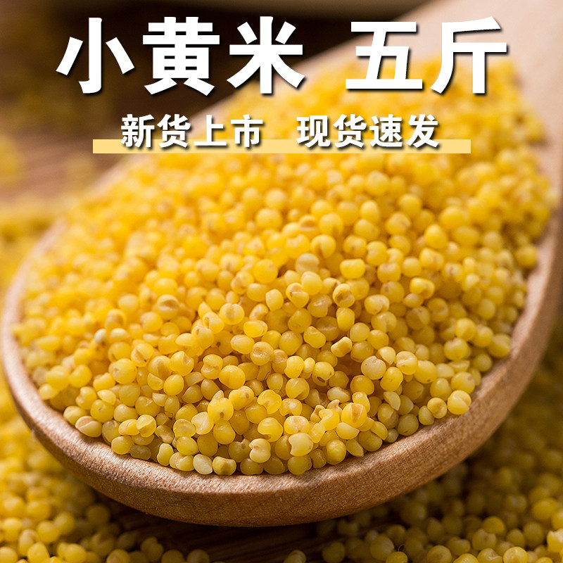 【严选】小黄米5斤黄小米粟米月子米油小米谷子米小米粥米脂小米