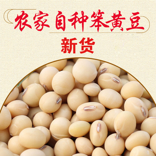 农家自种黄豆老品种黄豆非转基因黄豆豆浆原料煮粥大豆土黄豆3斤