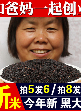 黑米250g当季新米农家自产黑米黑大米黑香米黑米粥原料五谷杂粮A