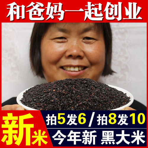 黑米250g当季新米农家自产黑米黑大米黑香米黑米粥原料五谷杂粮A