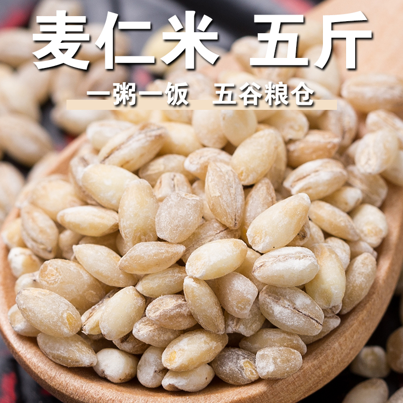 【严选】麦仁米5斤去皮麦仁麦仁粒胚芽米大麦仁早餐粥裸大麦麦粒