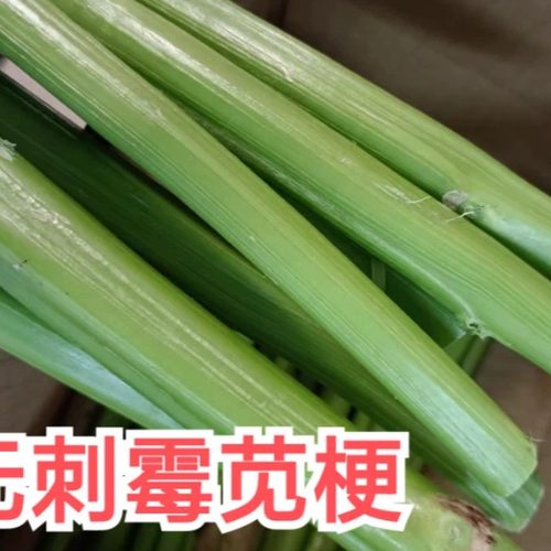 霉苋菜茎刺苋梗食用新鲜汉菜梗汗菜臭菜茎苋菜茎臭豆腐原料卤水