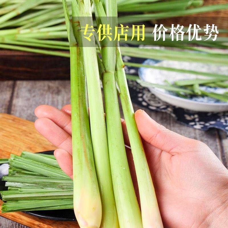 广西新鲜香茅草食用奶茶店调料泡茶香茅泰国食材香料柠檬草