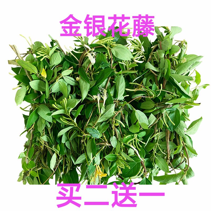 新鲜金银花藤宝宝洗澡天然野生忍冬藤洗澡 痱子野生现摘现发