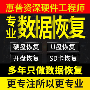 电脑固态机械移动硬盘数据恢复损坏远程维修服务U盘内存sd卡文件