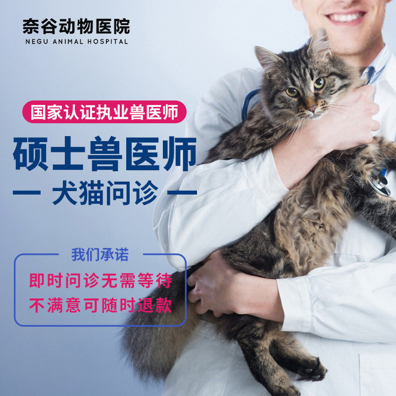 宠物医生在线咨询猫咪问诊看病医院兽医治疗猫藓猫鼻支狗常见病症