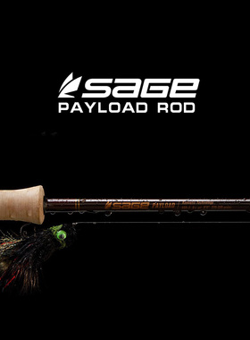 现货 SAGE PAYLOAD 单手飞钓竿 飞蝇竿 冰溪飞钓 海水淡水泛用竿