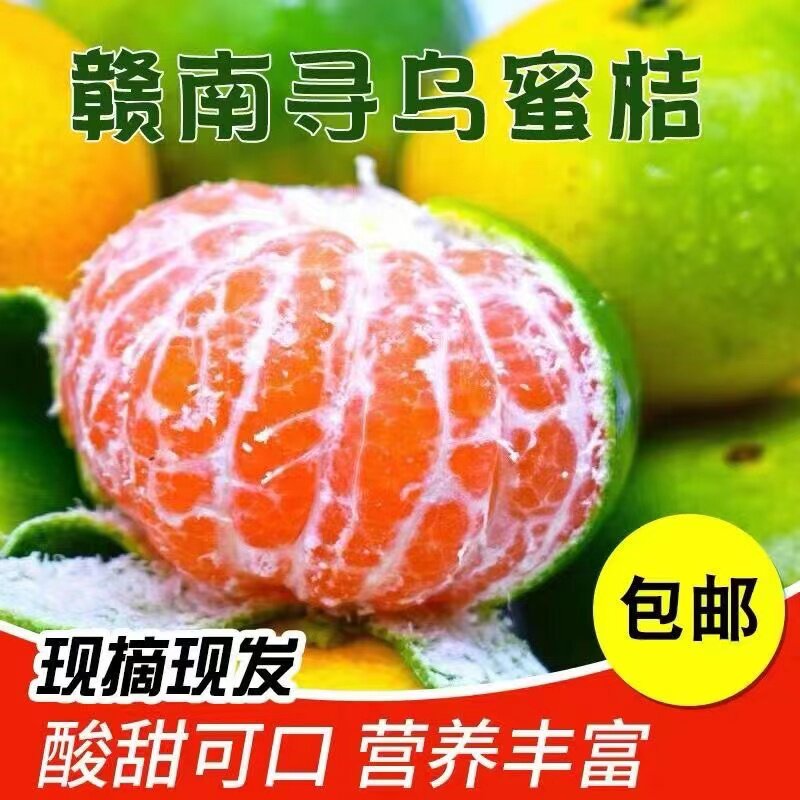 寻乌蜜桔现摘无籽赣南青皮蜜橘子孕妇新鲜水果薄皮桔子3/10斤整箱