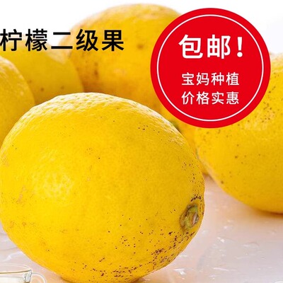 本季安岳新鲜黄柠檬水果