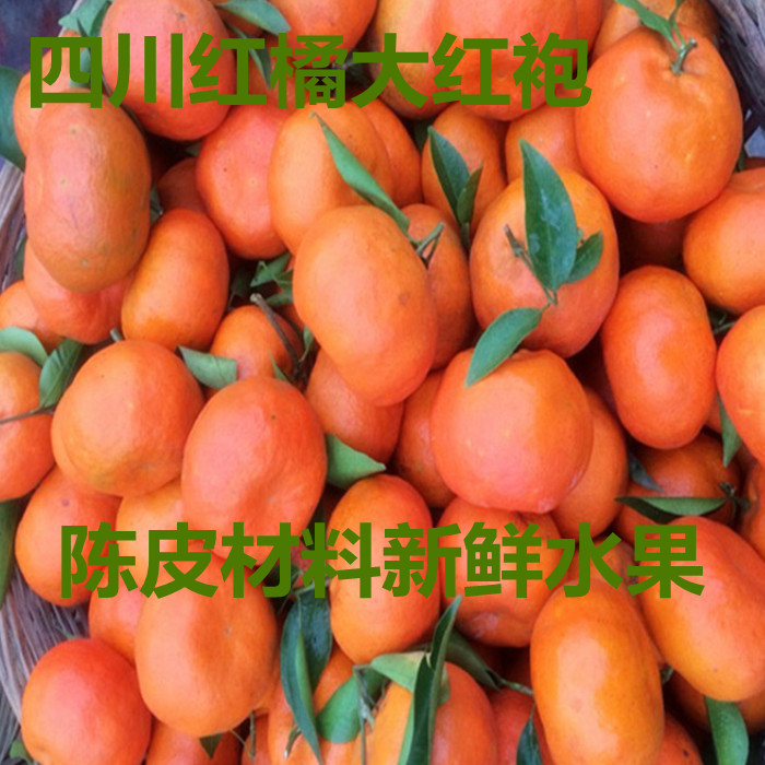 橘子皮桔子橘子新鲜水果尽快食用