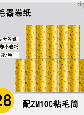 德尔玛家用粘毛器粘毛卷纸1个大粘毛纸2个小6卷大12卷小适用ZM100