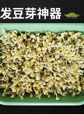 芽苗菜豆芽菜发豆芽家用发芽水培育苗盘神器育苗居家种植盒花生芽