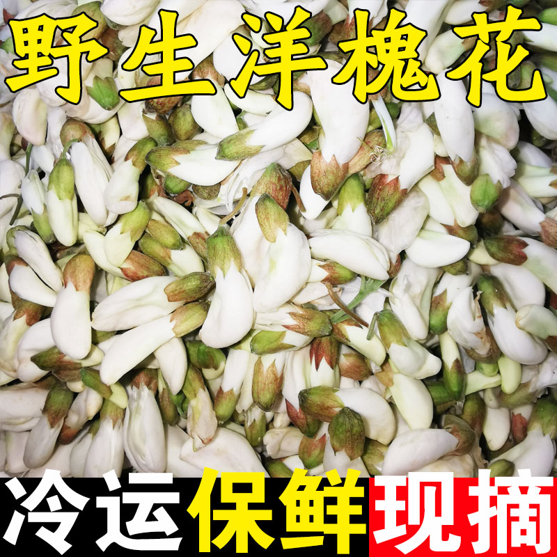 2024年洋槐花新鲜冷冻花骨朵花苞野生榆钱食用现摘4斤野菜包邮