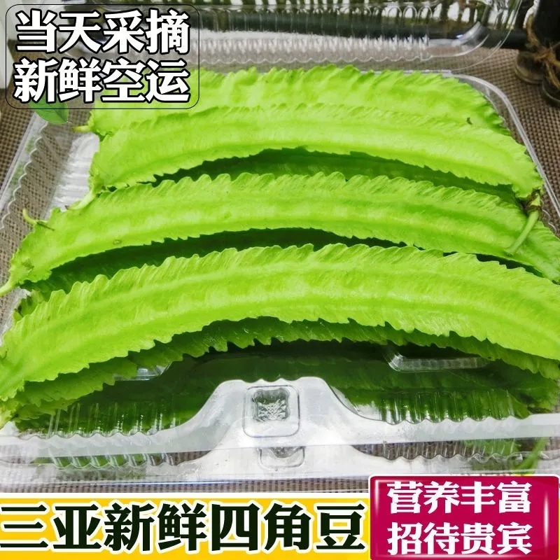 海南四角豆新鲜三亚特产蔬菜