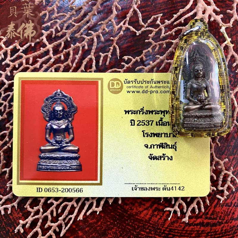 贝叶泰佛2537龙婆坤火焰药师