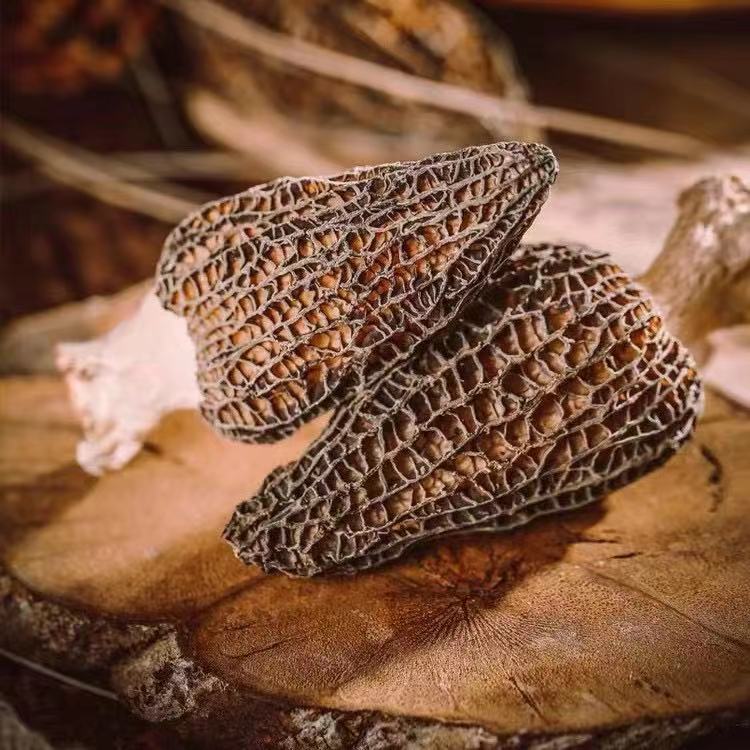 羊肚菌干货头茬肉厚香味足干度炖汤滋补性价比高