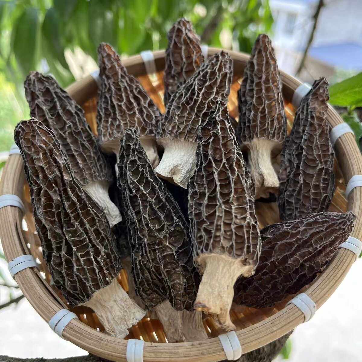 羊肚菌干货头茬肉厚香味足干度炖汤滋补性价比高营养靓汤,粮油调味/速食/干货/烘焙,羊肚菌,淘宝优惠券,粉丝福利购,淘宝优惠卷