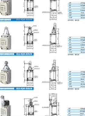 供应全新GSEE行程开关GSLS-KQ40-2E2R28  GSLS-KQ40-2E2R40