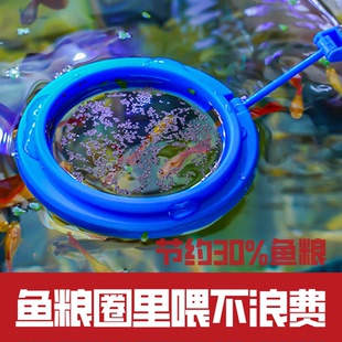 喂食圈鱼活体孔雀鱼鱼食料鱼缸喂食器投食圈热带鱼食器喂鱼投食圈