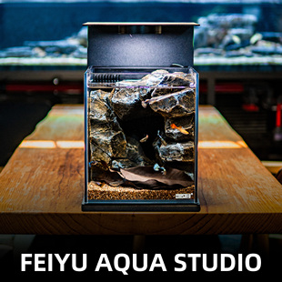 TRIPLEH 栖息地桌面微景观生态斗鱼缸高端造景玻璃缸背滤一体过滤