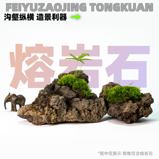 天然黑棕熔岩石火山石过滤材料 水族鱼缸水草造景石莫斯素材颗粒