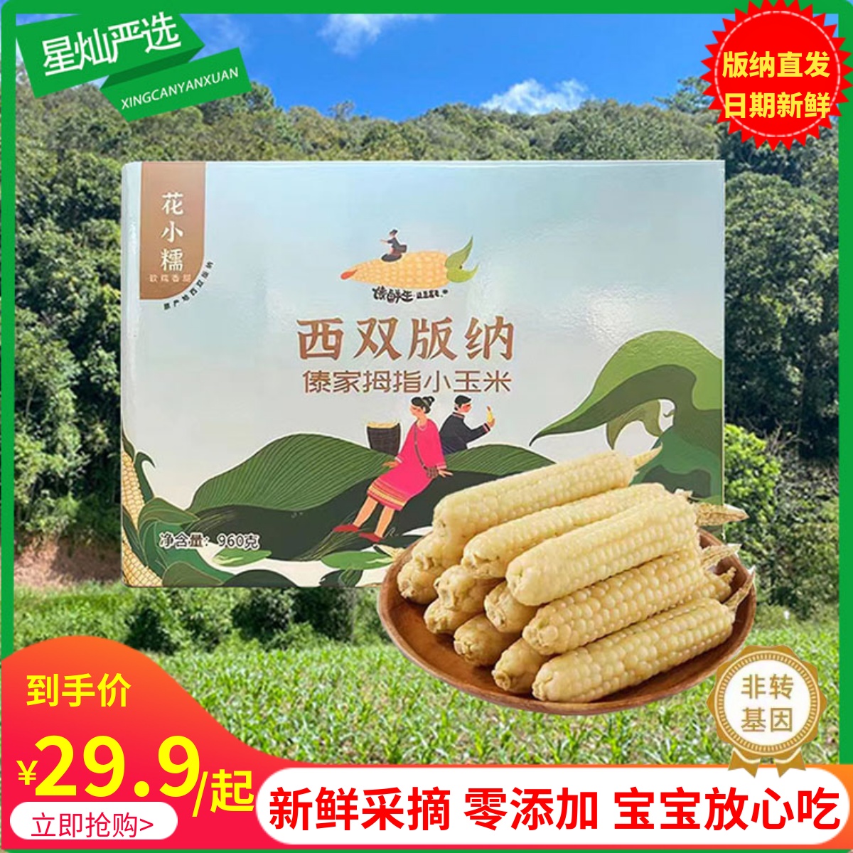 花小糯常温版纳香糯拇指小玉米