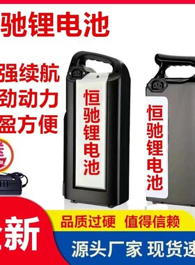 48v12ah锂电池20ah爱玛电瓶厂家直销台铃愉途外卖车通用大容量