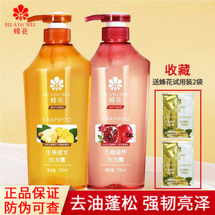 蜂花生姜健发洗发露750ml清爽控油蓬松石榴滋养芦荟水润滋润柔顺