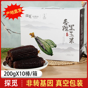 探觅黑玉米东北即食黏粘嫩苞米新鲜现摘真空包装礼盒速食甜糯玉米