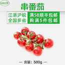 500g 串番茄 新鲜蔬菜 串红番茄 5份 包邮