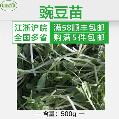 豌豆苗 500g 5件包邮 新鲜蔬菜 芽苗草