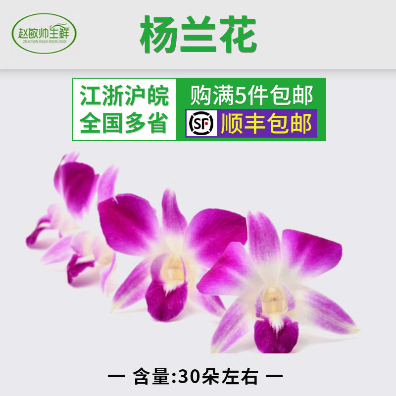 杨兰花 250克,约80朵 新鲜洋兰花 江浙沪皖5份包邮 西餐摆盘装饰_虎窝淘