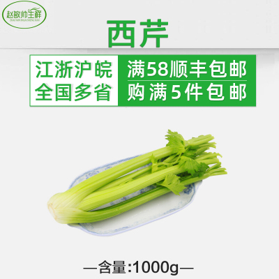 新鲜时鲜蔬菜 西芹 洋芹菜 西洋芹 大芹菜1000g