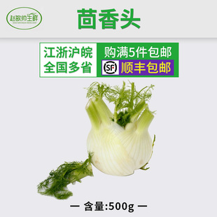 新鲜蔬菜 香料调料品 球茎茴香头500g量大优惠